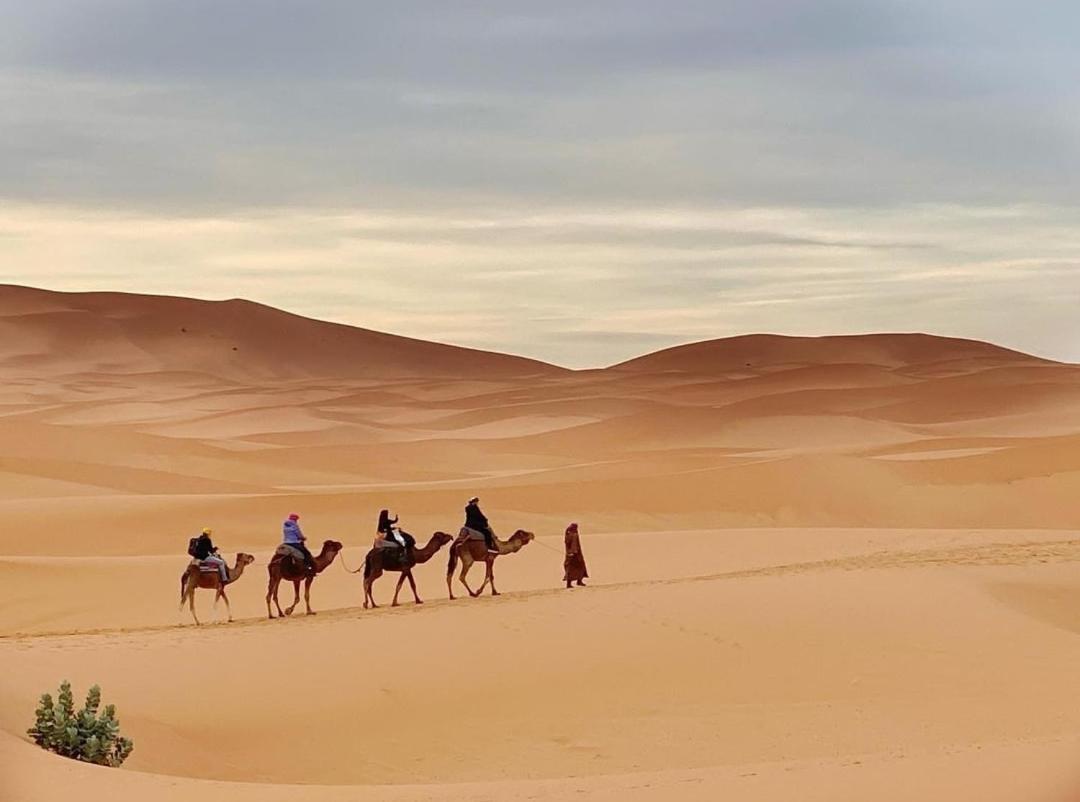 Erg Chegaga Camp Excursions Hotel มามิด ภายนอก รูปภาพ